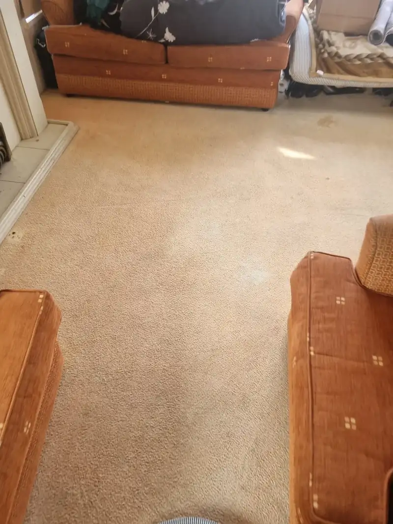 Room cleared to the carpet after a house clearance